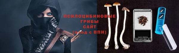 спайс Аркадак
