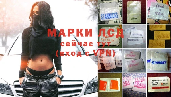 СК Навашино