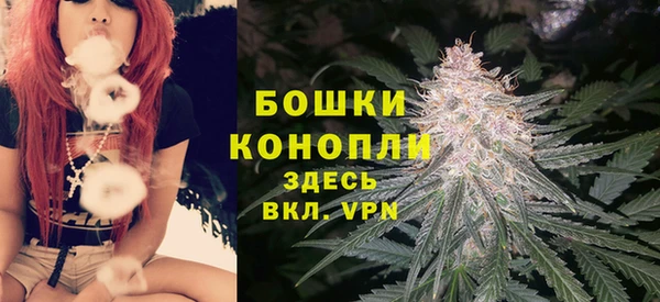 спайс Аркадак